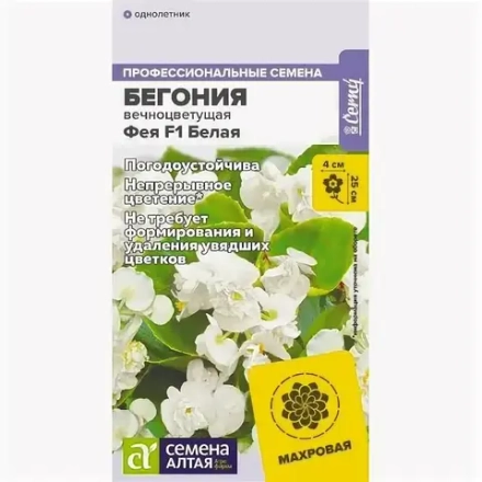 Бегония Фея F1 Белая вечноцветущая/Сем Алт/цп 5 шт.