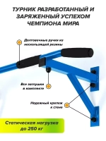 Турник Настенный AKTIV Черный