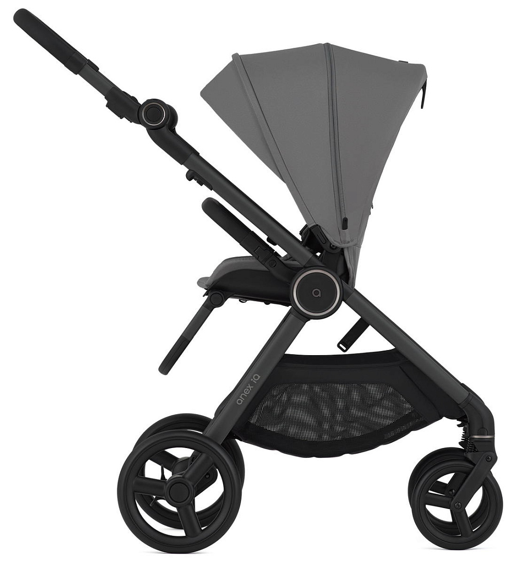 Детская коляска Anex iQ Basic NT 2 в 1 Lune