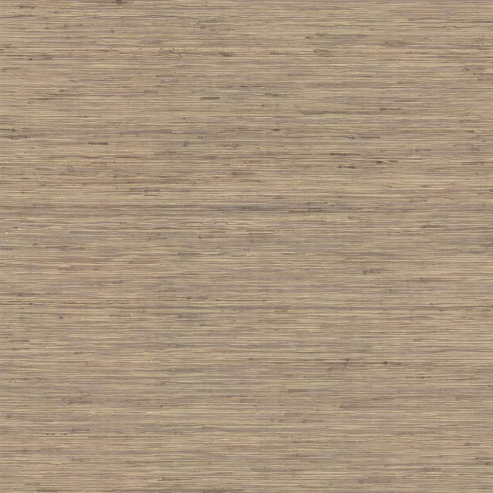 Ronald Redding Traveler