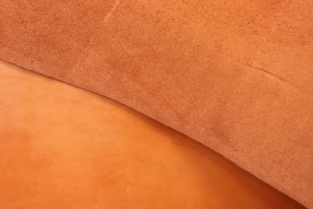 2+ Пола оранжевая