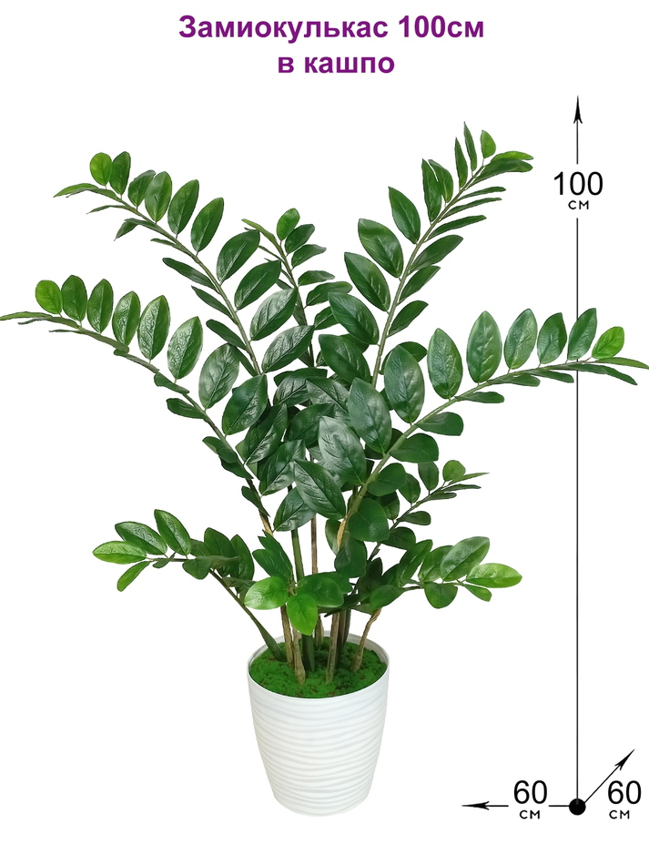 Искусственный замиокулькас купить в Москве