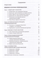 Четвероевангелие. Том 1. Учебник бакалавра теологии