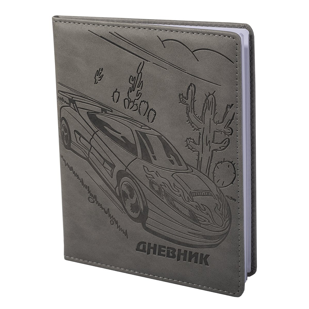 Дневник школьный Alingar 1-11 кл., 48л., 7БЦ, иск. кожа, поролон, тиснение, закругленные углы, серый "Car 1"