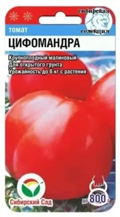 Томат Цифомандра 20шт (Сиб сад)