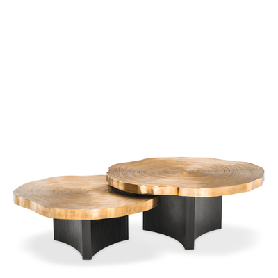 Журнальный столик Coffee Table Thousand Oaks set of 2 арт.113295