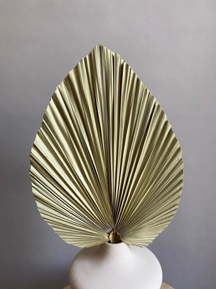 Лист пальмы копьем L натуральный