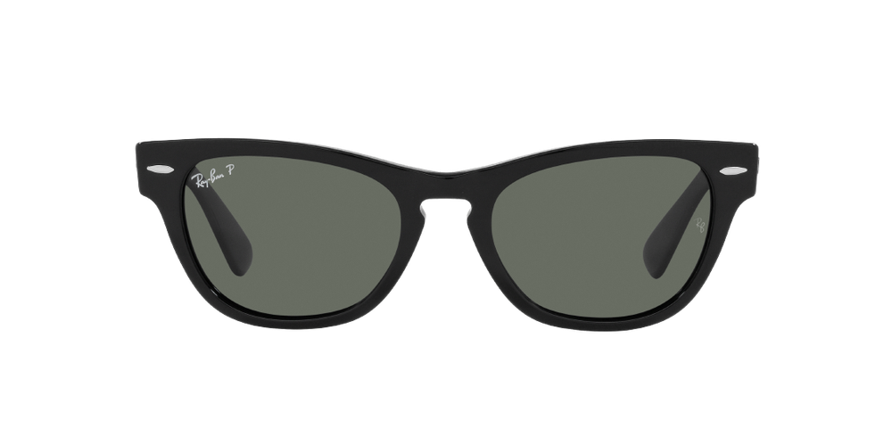RAY-BAN LARAMIE RB2201 901/58
