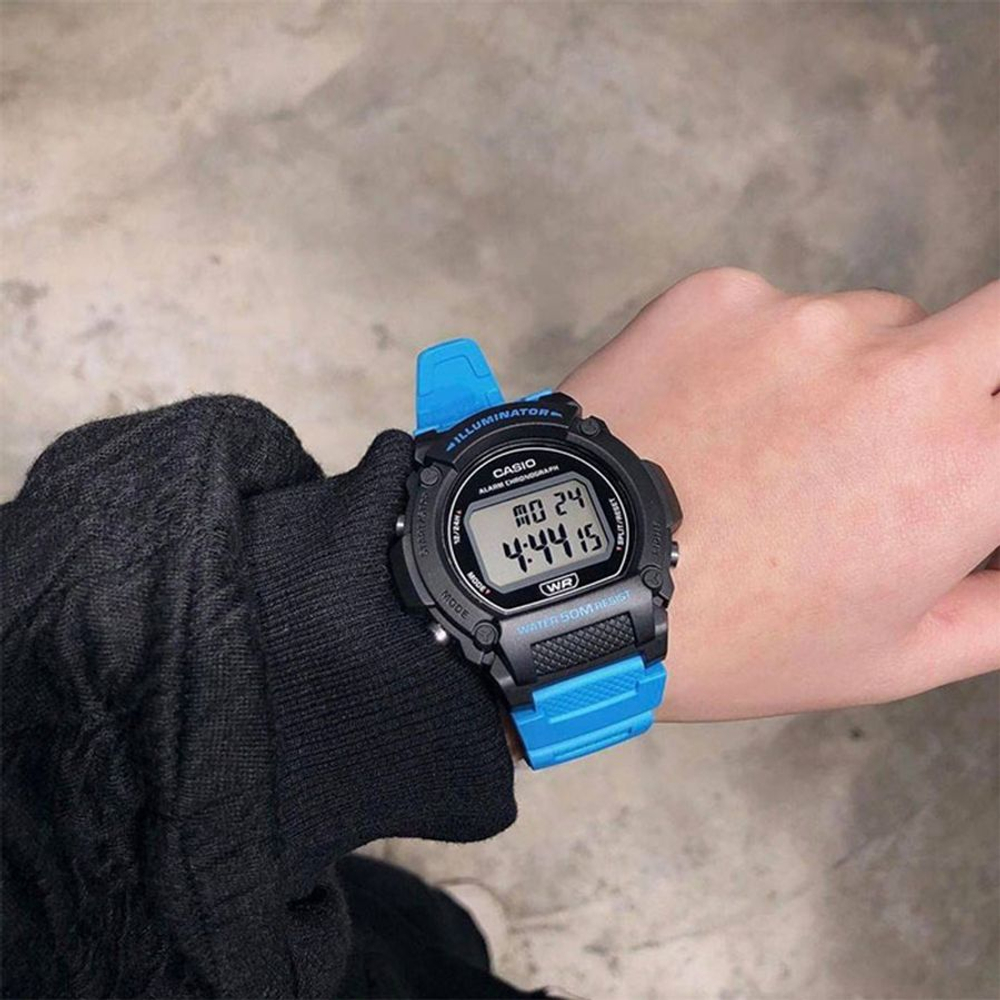 Наручные часы Casio Collection W-219H-2A2