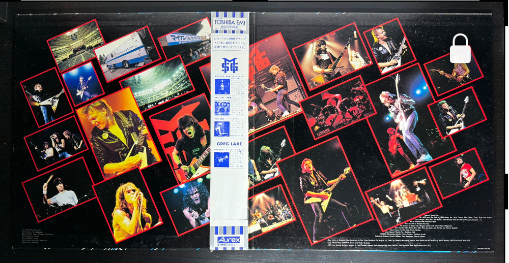Виниловая пластинка MSG ‎– One Night At Budokan 2LP