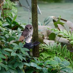 USL-S-829-PM290 BROWN OWL Садовый светильник на солнечной батарее Филин. 1 светодиод. Теплый белый свет. 1xАA Ni-Mh аккумулятор в-к. IP44. TM Uniel