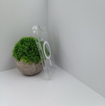 Прозрачный чехол MagSafe Clear Case без анимации для iPhone 16 Plus