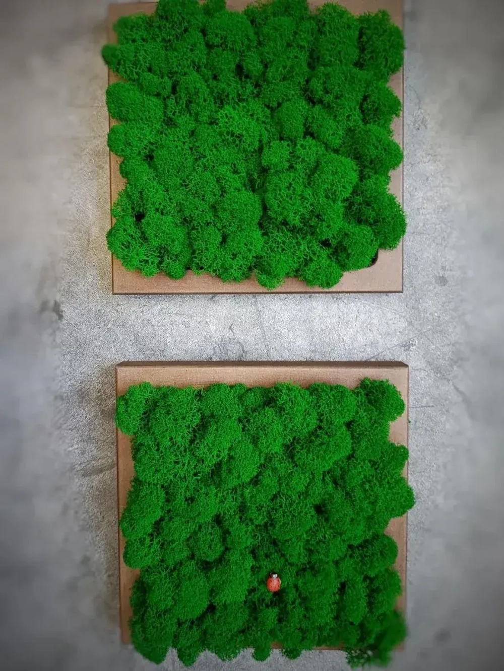 Квадратное панно на стену 20*20 из мха набор 1 шт.