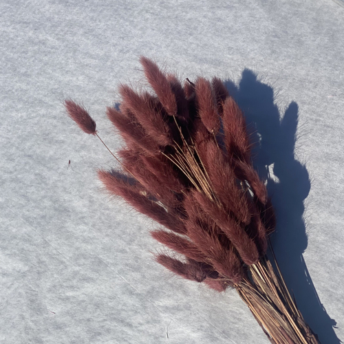 ЦВЕТЫ ИСКУССТВЕННЫЕ ВЕТКА ЗАЯЧИЙ ХВОСТИК МОККО