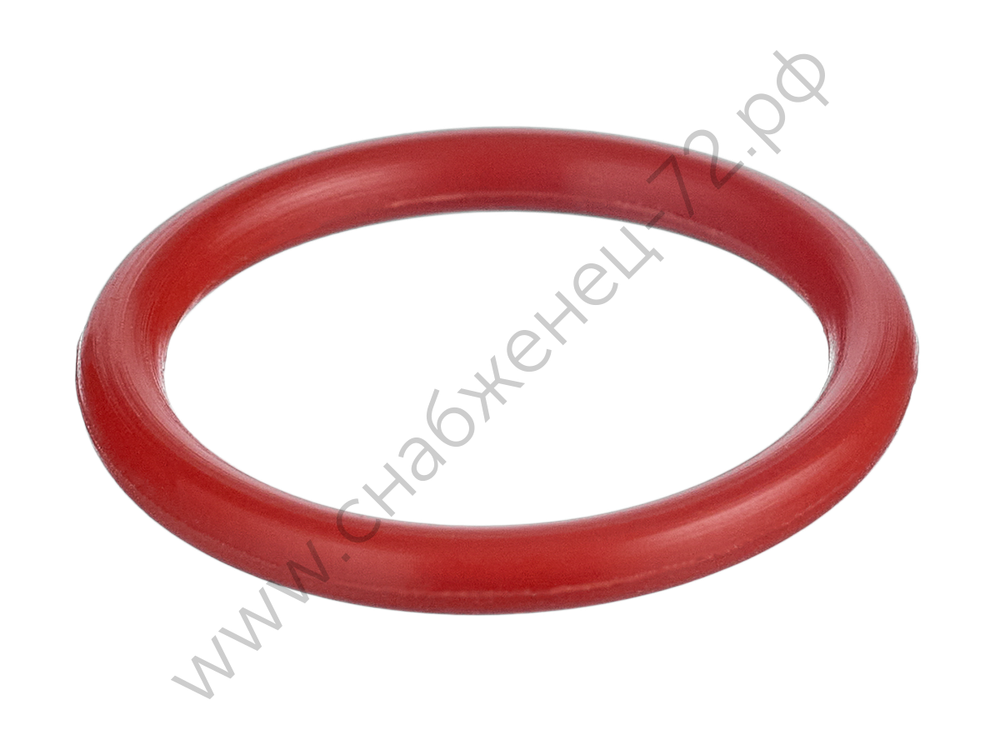 Кольцо уплотнительное (CSP 100) IFT0705