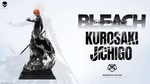 Куросаки Ичиго / Kurosaki Ichigo