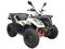 Квадроцикл KAYO AU300 EFI