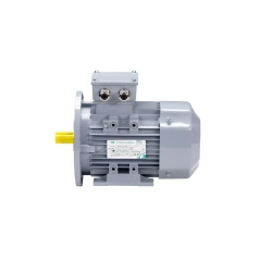 Электродвигатель ESQ PR 355 MA6-SDN-Б1-S12-IE3 160/1000 IMB35