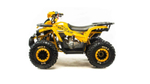 Квадроцикл Motoland VOX125 WILD X