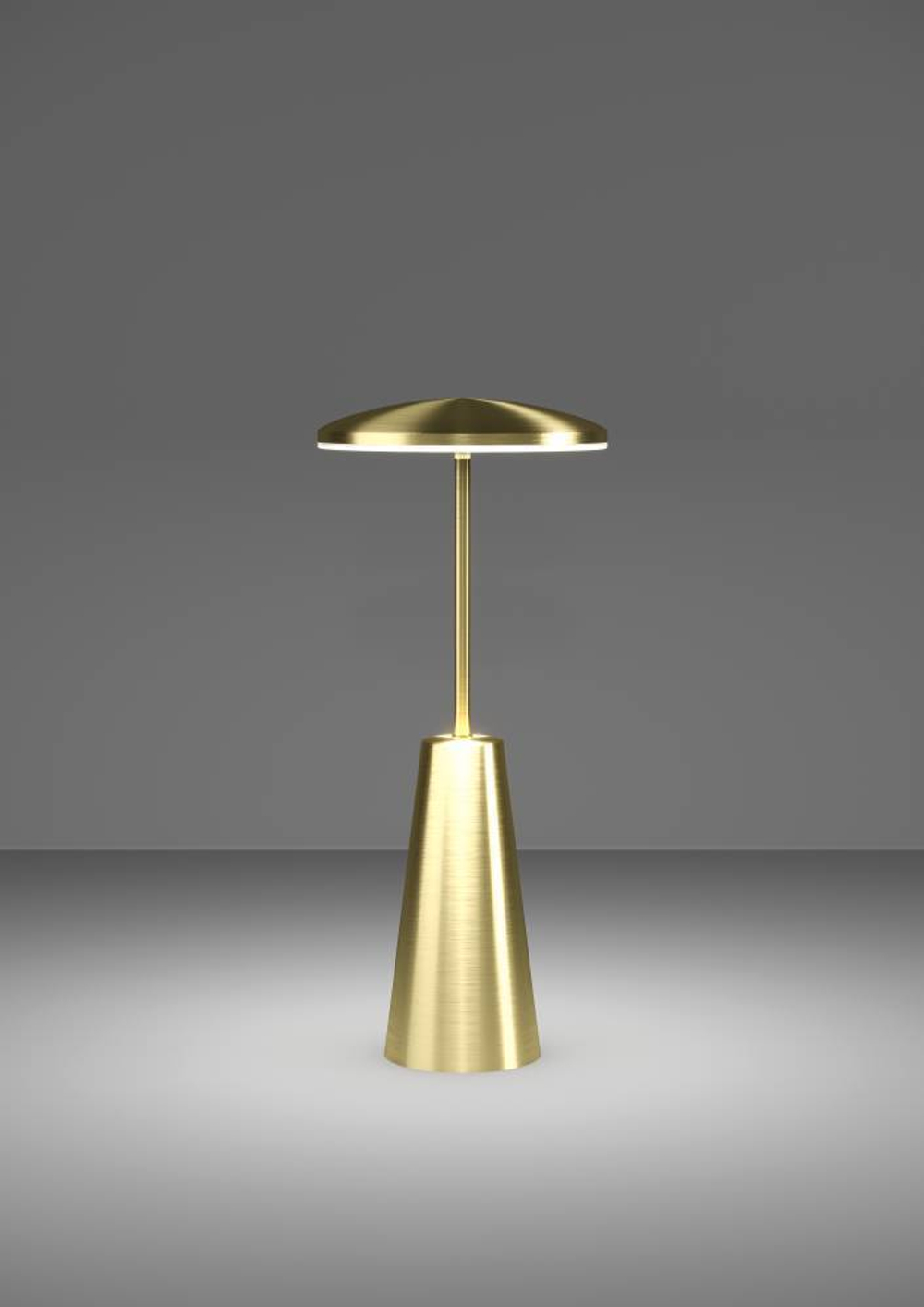 Аккумуляторная настольная лампа Eglo PICCOLA 900923