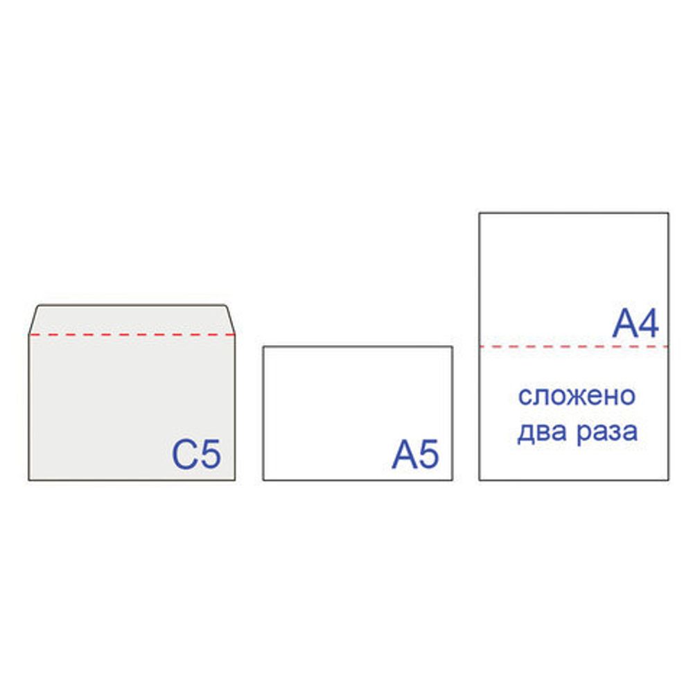 Конверты С5 (162х229 мм), отрывная лента, 80 г/м2, КОМПЛЕКТ 1000 шт., 41737