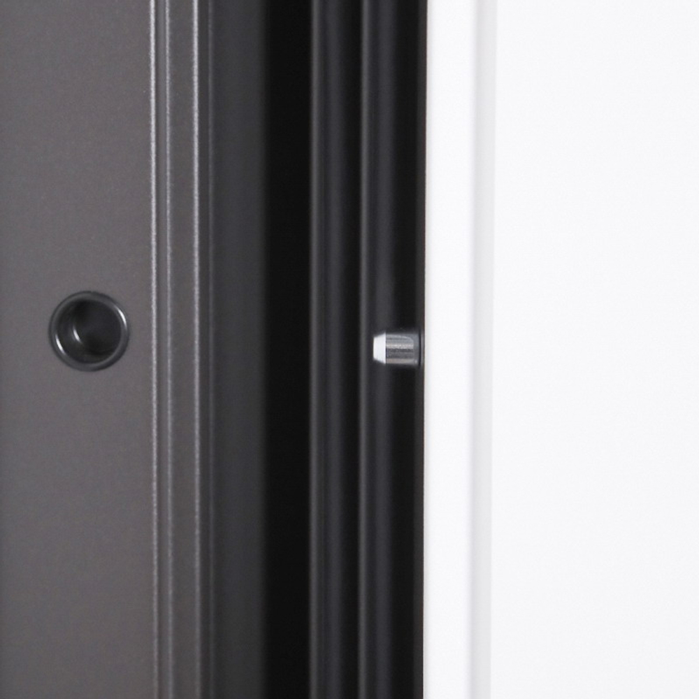 Стальная дверь "Дравит" (терморазрыв 3к). Заказная модель.