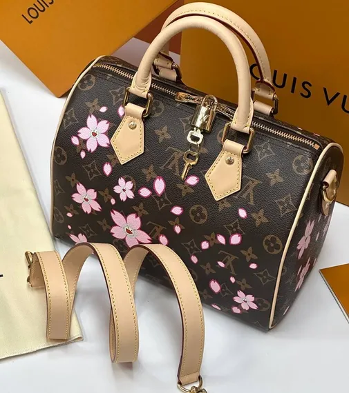 Сумка LOUIS VUITTON х TM Speedy 25, коричневый