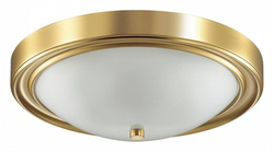 Накладной светильник Lumion 5259/3C