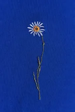 Лонгслив Гербарий Ромашка Ярко-синий