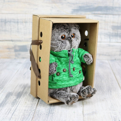 Кот Басик в зеленой толстовке с карманом-кенгуру