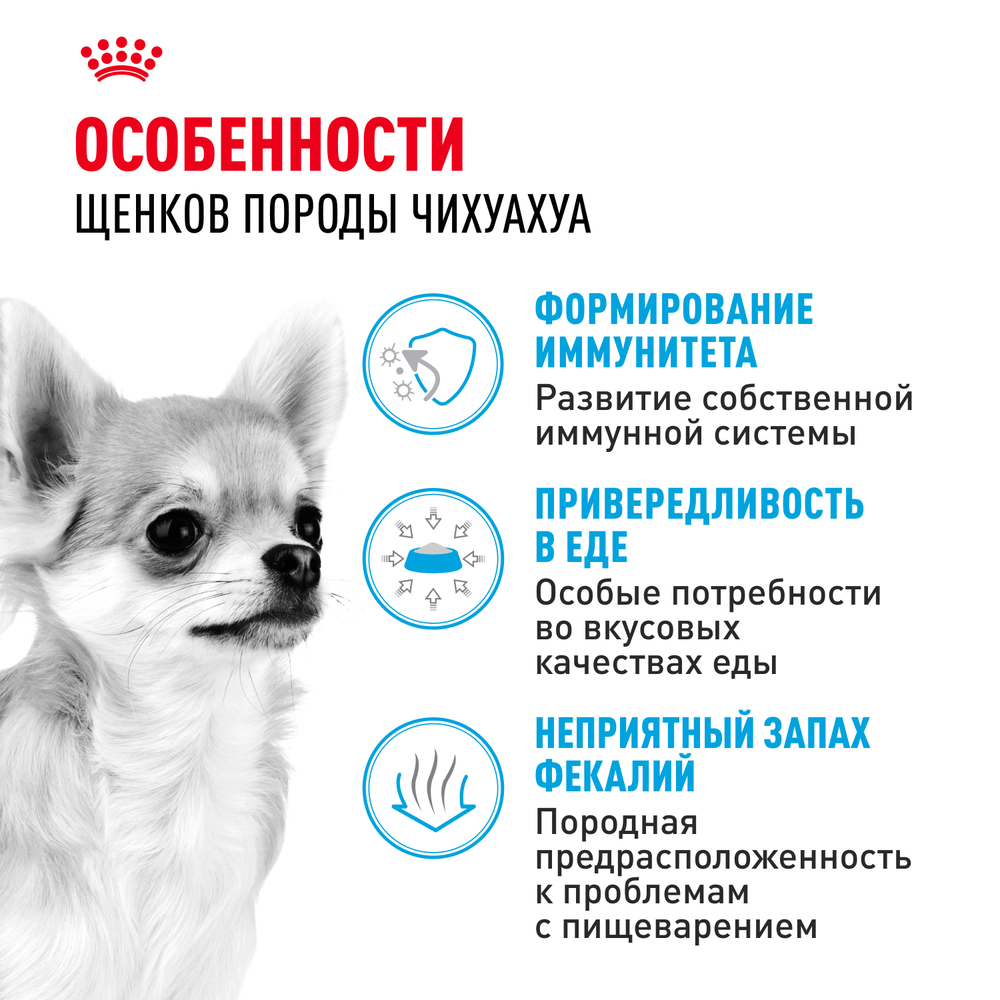 Royal Canin Chihuahua Puppy Корм сухой для щенков породы Чихуахуа до 8 месяцев - 0,5 кг