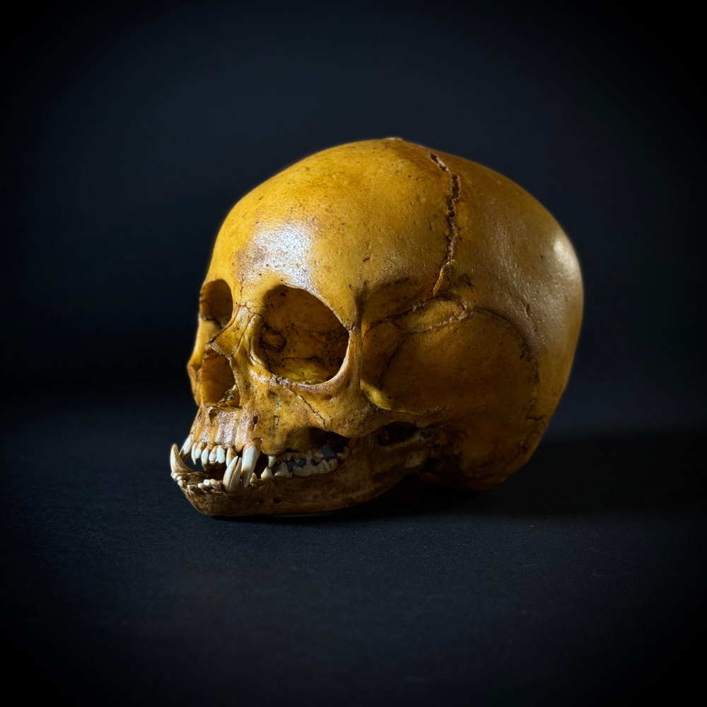 Маленький монстр