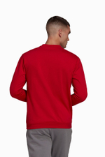 Кофта adidas Entrada 22 Sweat Top