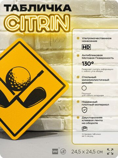 Табличка декоративная "Гольф" на дверь и стену, спортивная, информационная, декоративный знак, 24,5х24,5 см, пластиковая, Айдентика Технолоджи