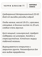 Семена томатов Черри Блосэм F1, 5 семян (Vita Green / Вита Грин)