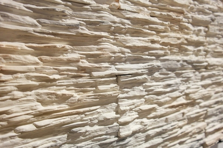 Сланец обычный белый арт: Слоб 002