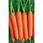 Семена Морковь Нантская красная (УД) Е/П