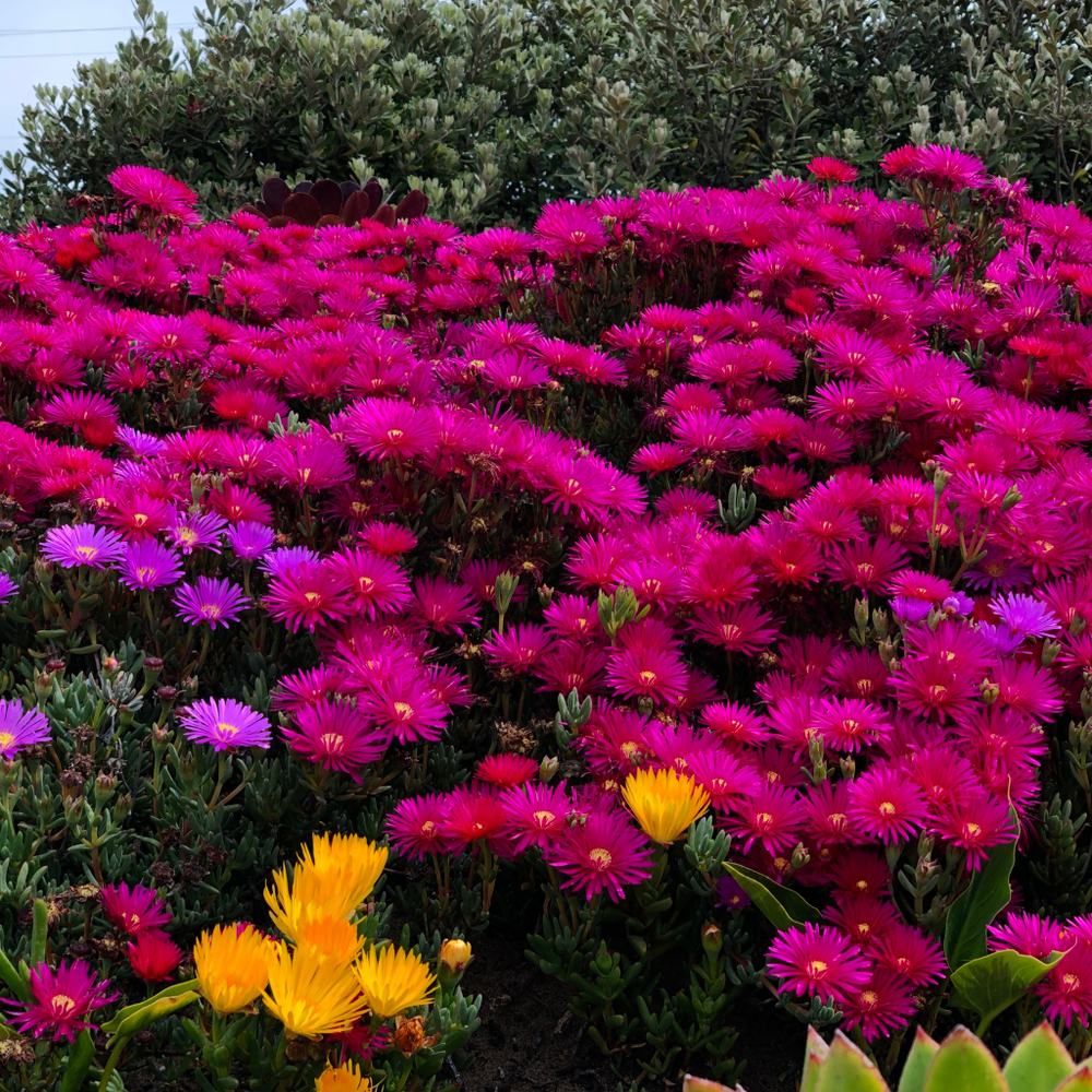 тестовый товар