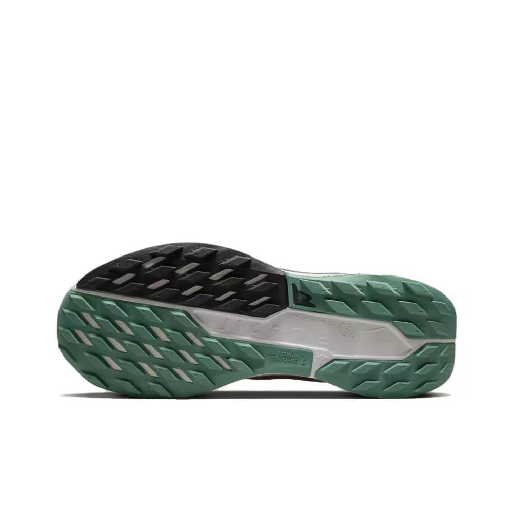 Женские кроссовки Nike Pegasus Trail 5 'Court Blue Cedar' DV3865-100