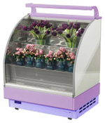 Горка холодильная Lida Stella Flora mini (1000х970х1800 мм)