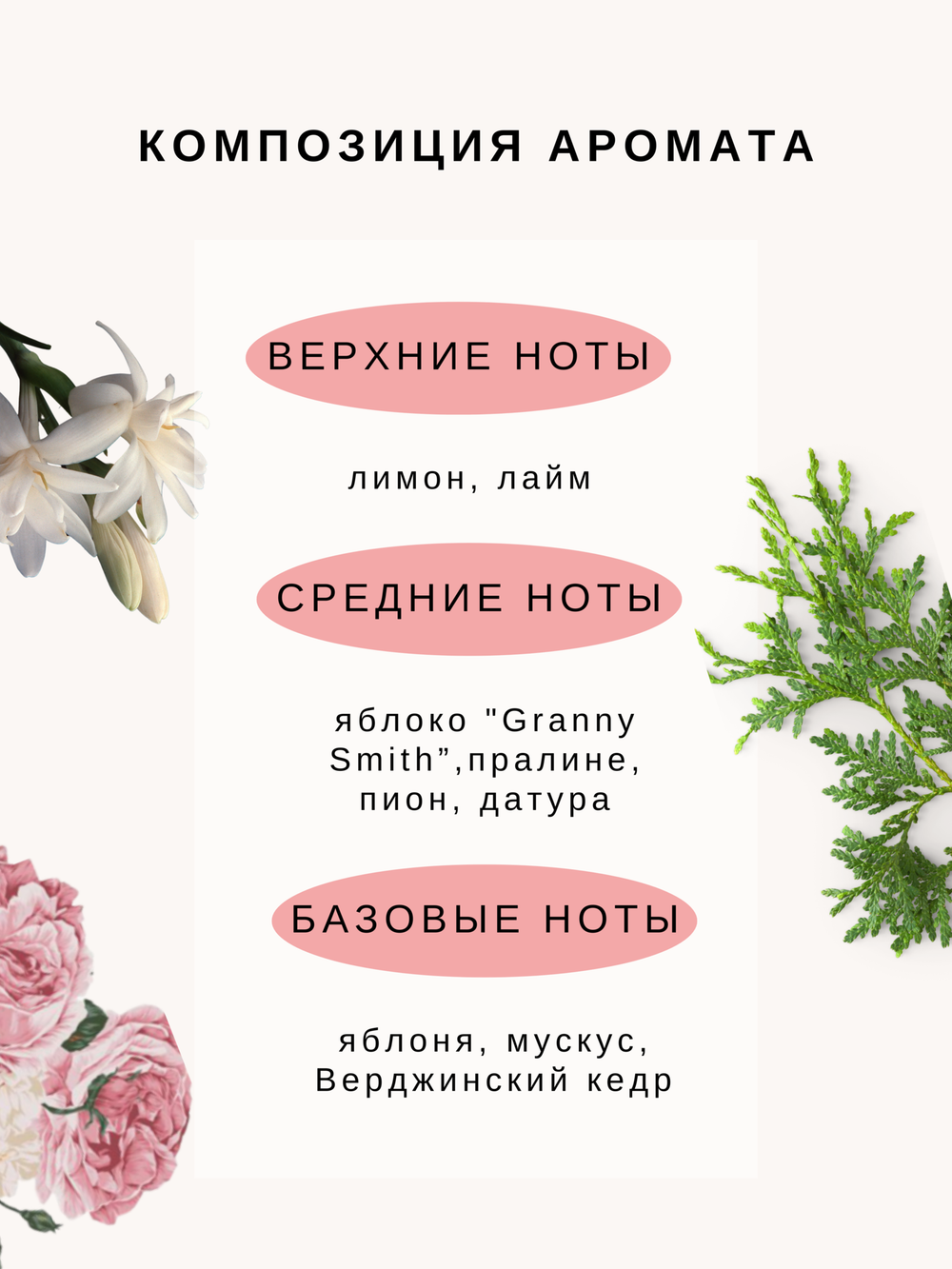 NEW LIFE 011