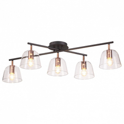 Накладная люстра Lumion 4455/5C