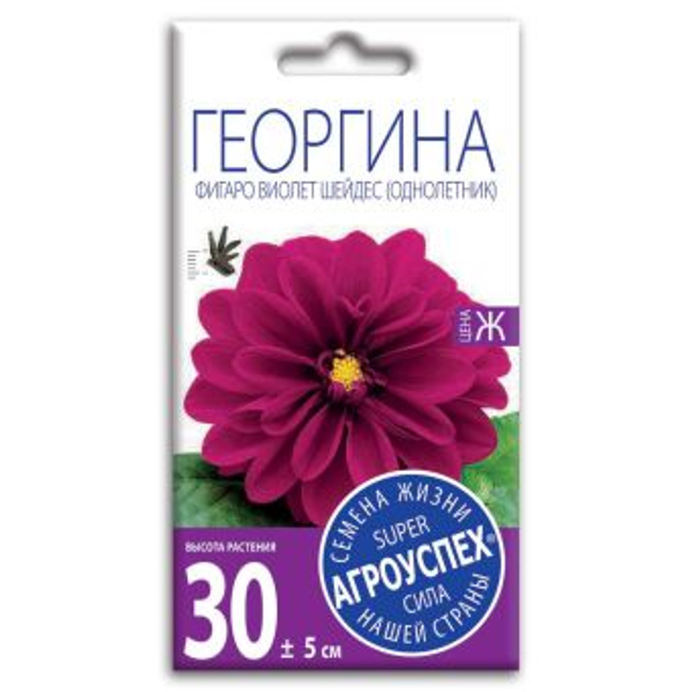 Георгина Фигаро Виолет Шейдес, семена Агроуспех 7шт