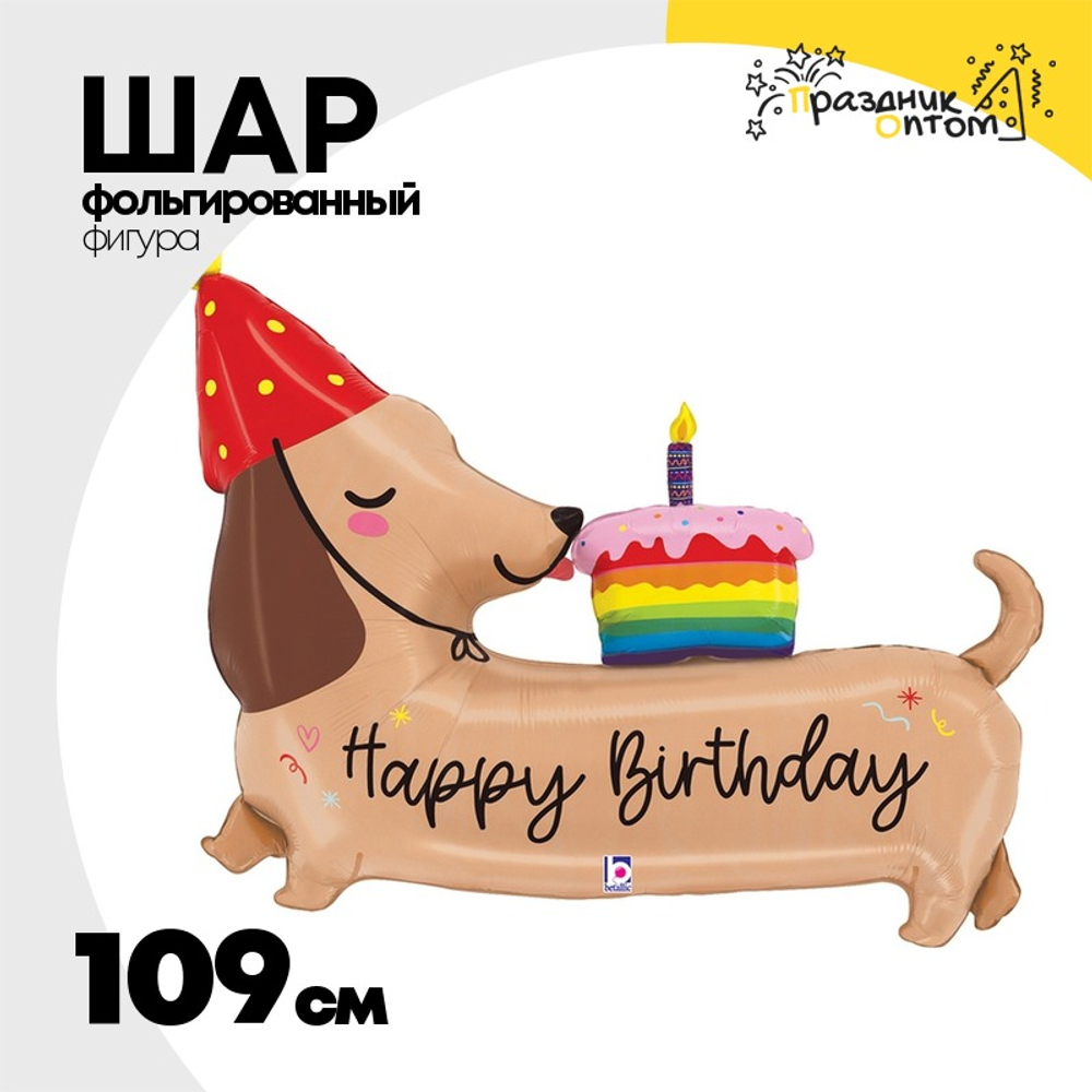 Шар Фольгированный Такса в колпаке (Ассорти)