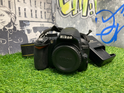 Nikon D3100 11.000 кадров