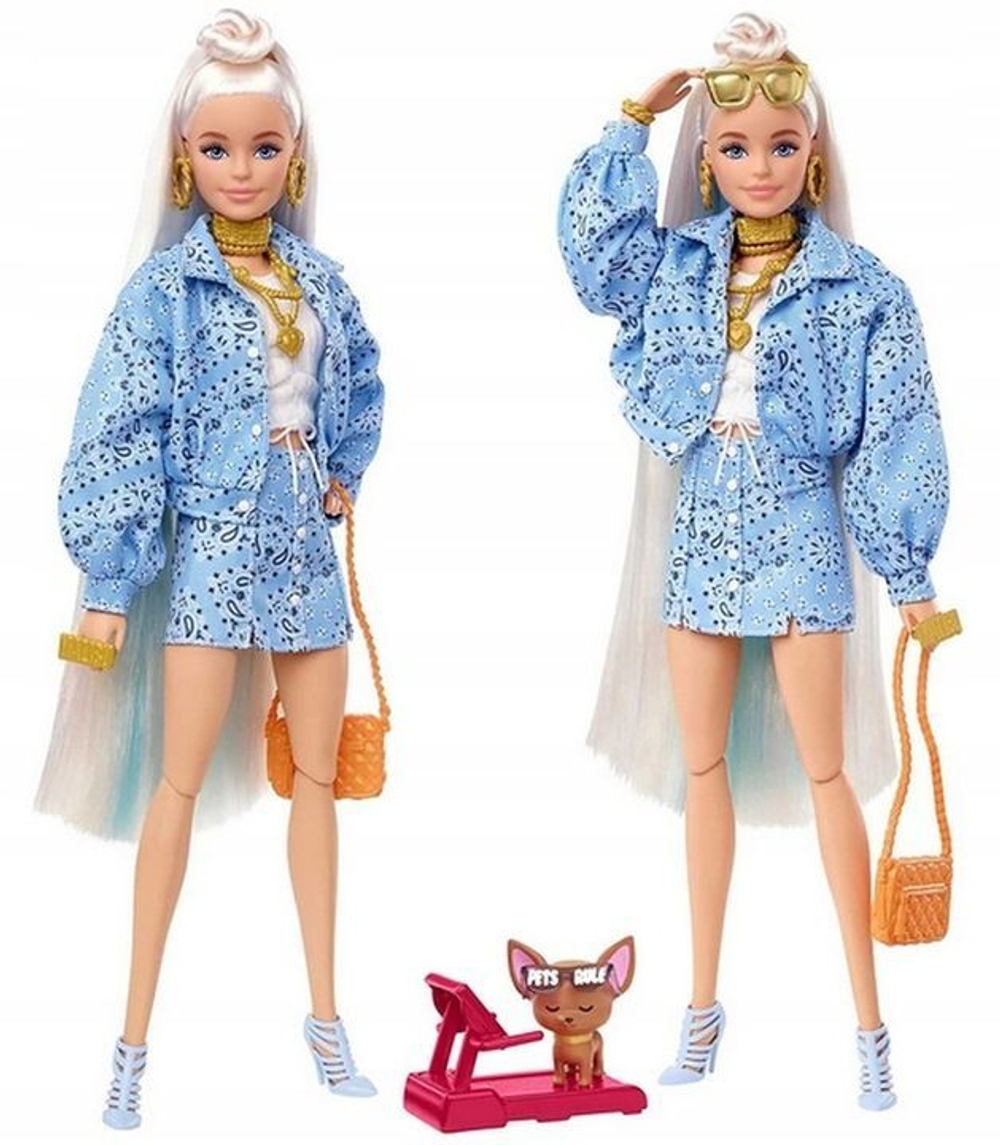 Mattel Barbie Extra HHN08