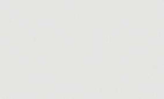 Обои Erismann NEOCHIC 60009-04 1,06 м