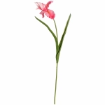 Цветок искусственный «Natur» 60см Ирис розовый