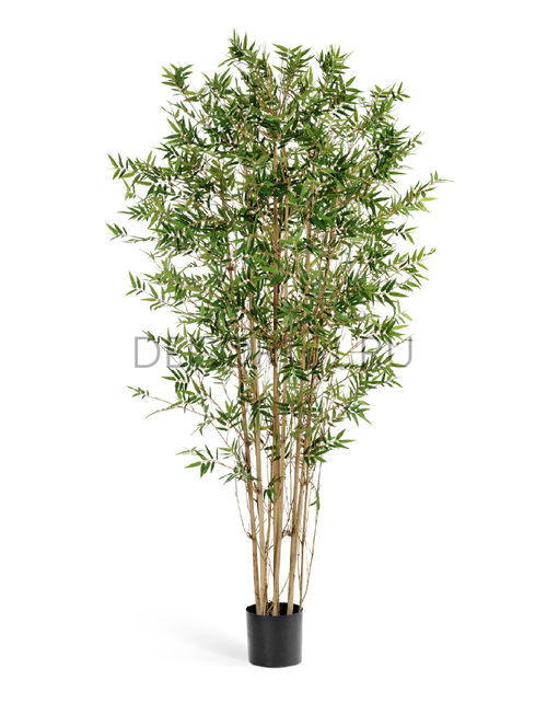 Бамбук Японский ориенталь 180 см 2/2 10.34306N