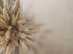 ПРО МАТРИКС